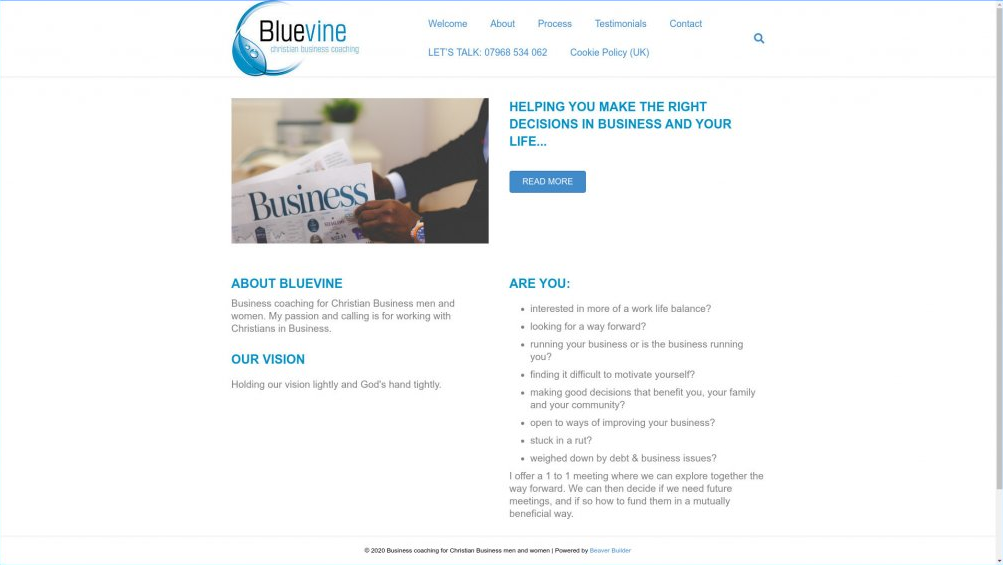 Recent Projects: Blue Vine Business Coaching
